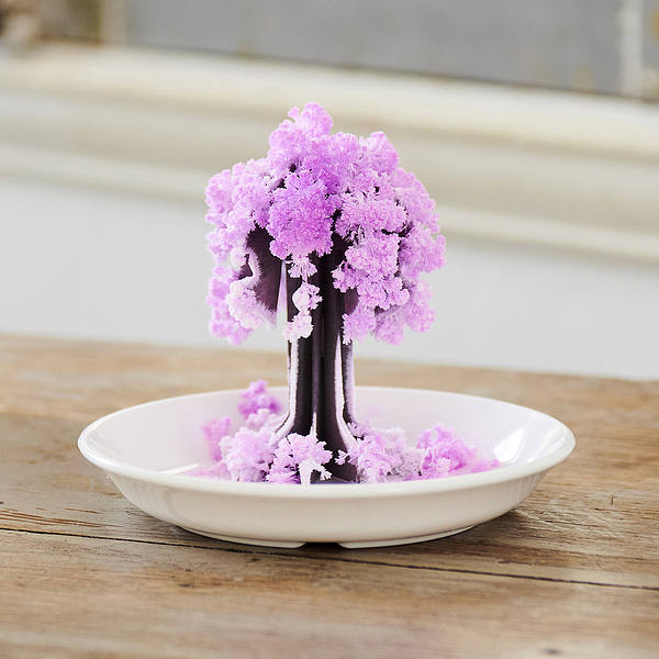 結晶 樹氷 桜の都 サイエンスグッズ(名入れなし)