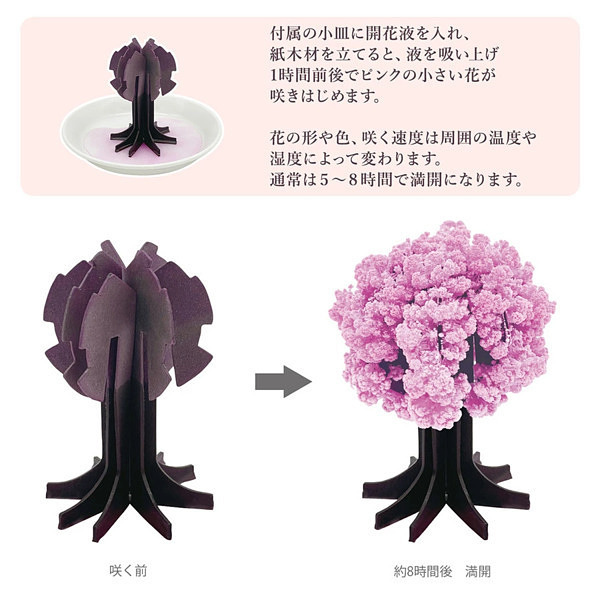 結晶 樹氷 桜の都 サイエンスグッズの花が咲く様子