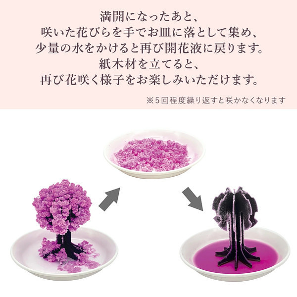 結晶 樹氷 桜の都 サイエンスグッズのサイクル