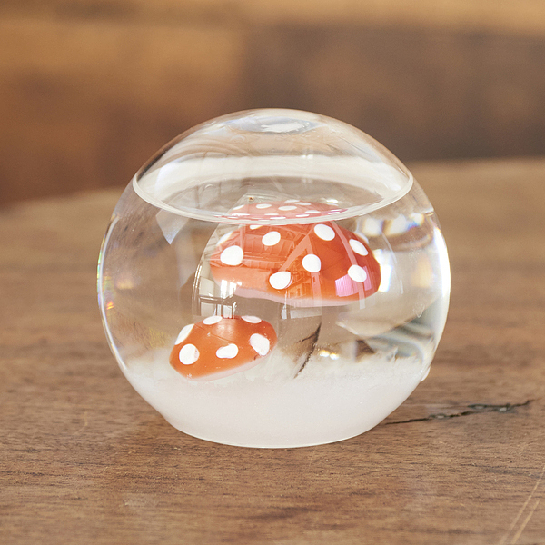 ストームグラス ドーム きのこ