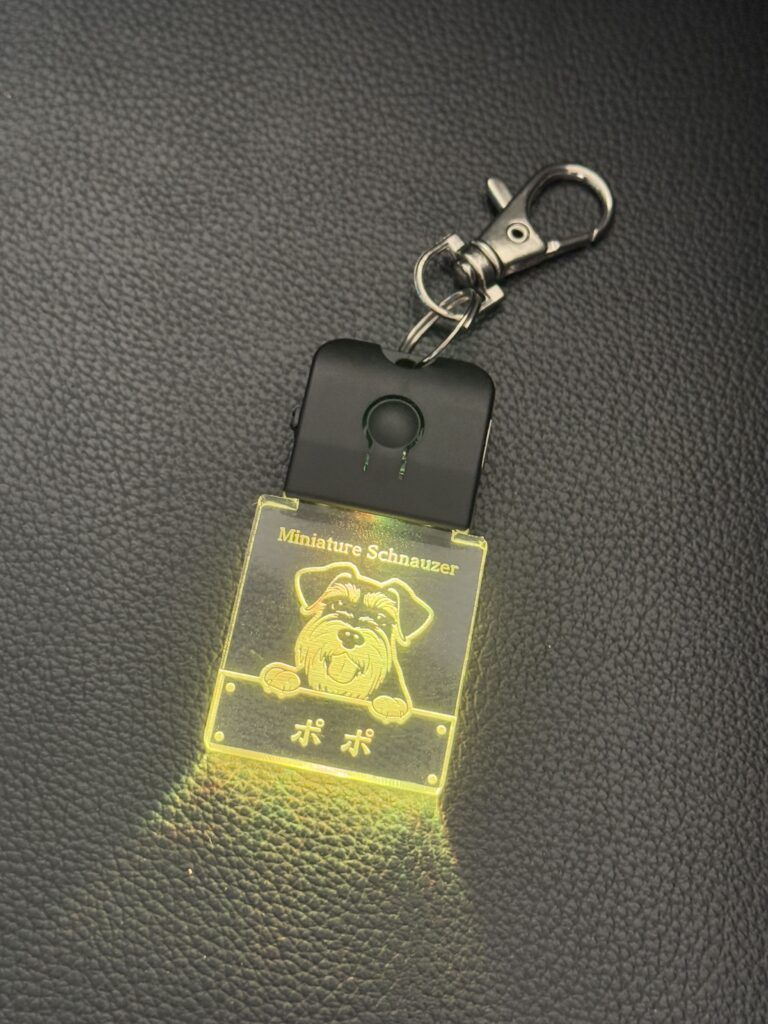 シュナウザー犬のおさんぽわんちゃーむ